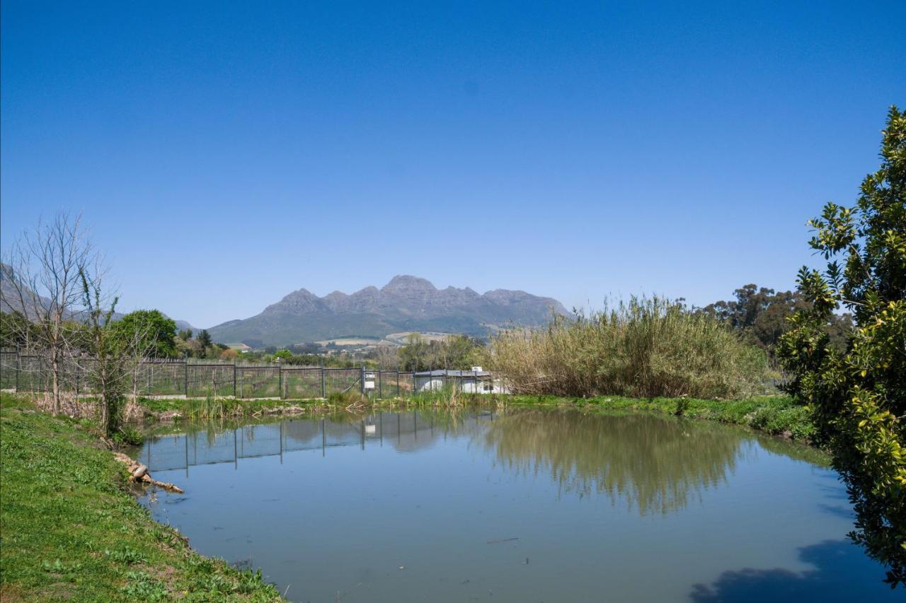 Sunset Farm Stellenbosch Villa Bagian luar foto